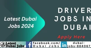 Driver Jobs in Dubai 2024 | Dubai Jobs