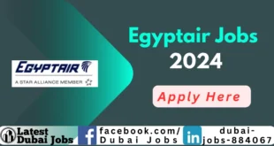 Egyptair Jobs