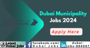 Dubai Municipality Jobs